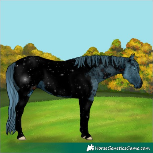 Horse Color:ERROR: UNKNOWN ANOMALY