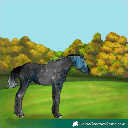 Horse Color:ERROR: UNKNOWN ANOMALY