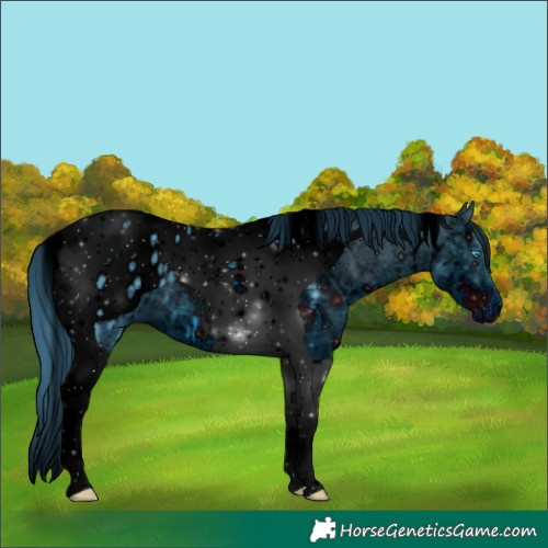 Horse Color:ERROR: UNKNOWN ANOMALY