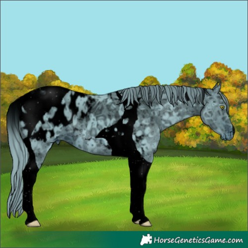 Horse Color:ERROR: UNKNOWN ANOMALY