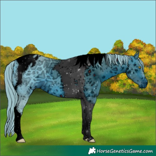 Horse Color:ERROR: UNKNOWN ANOMALY