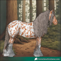 Horse Color:White Spotted Bay Near Leopard 