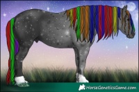 Horse Color:Painted Black 