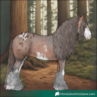 Horse Color:White Spotted Bay Varnish