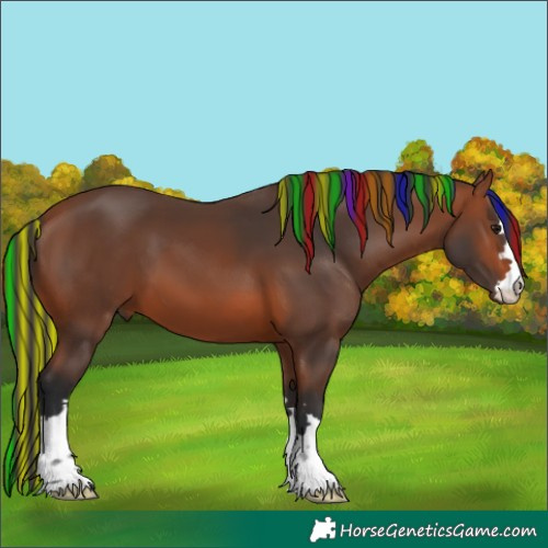 Horse Color:Painted Bay 