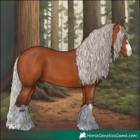 Horse Color:Silver Bay 