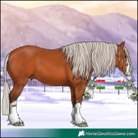 Horse Color:Silver Bay 