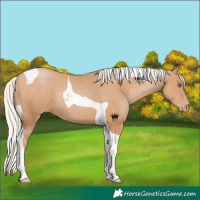 Horse Color:Silver Black Pearl Tobiano 