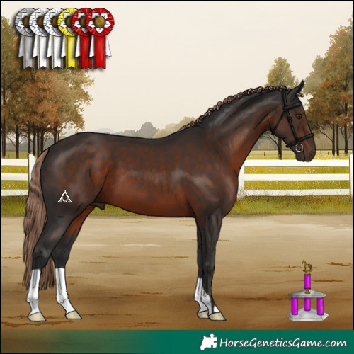 Horse Color:Liver Chestnut 