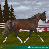Horse Color:Liver Chestnut 