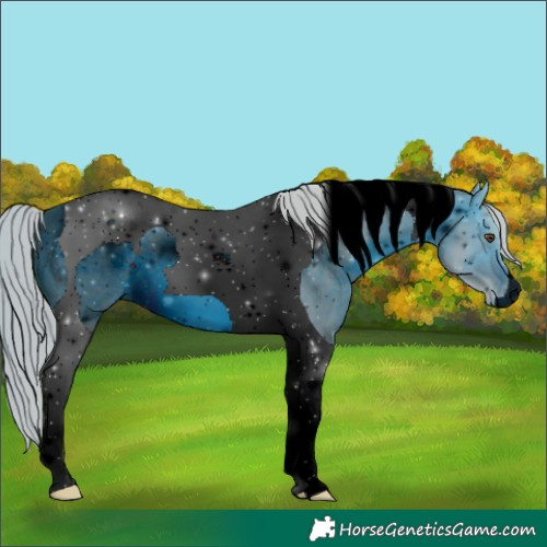 Horse Color:ERROR: UNKNOWN ANOMALY