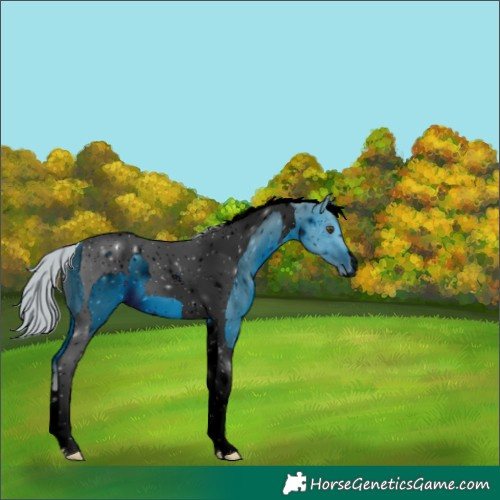 Horse Color:ERROR: UNKNOWN ANOMALY