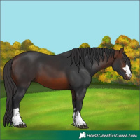 Horse Color:Brown 