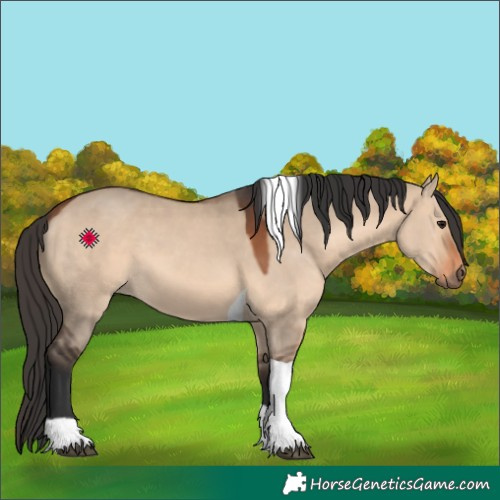 Horse Color:Bay Dun Tobiano 