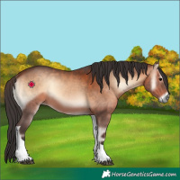 Horse Color:Brown Onyx Tobiano 