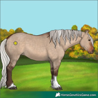 Horse Color:Silver Brown Dun Tobiano 