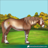 Horse Color:Red Onyx 