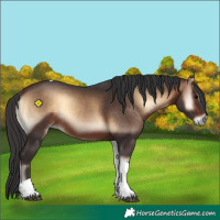 Horse Color:Bay Onyx Tobiano 