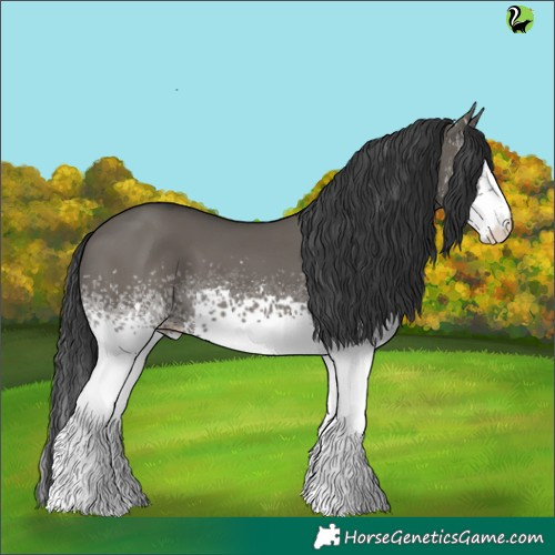Horse Color:White Spotted Grullo 