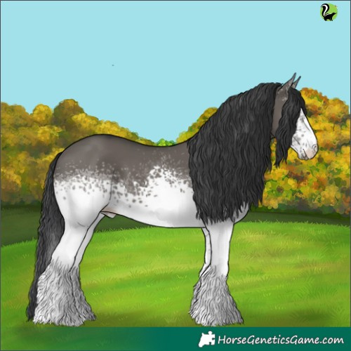 Horse Color:White Spotted Grullo 