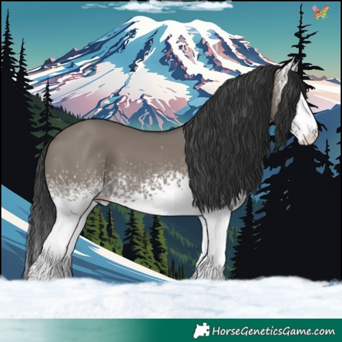 Horse Color:White Spotted Grullo 