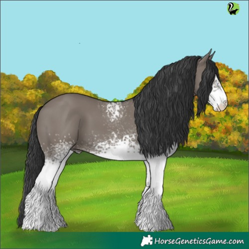 Horse Color:White Spotted Grullo 