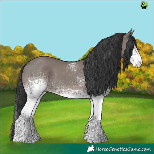 Horse Color:White Spotted Grullo