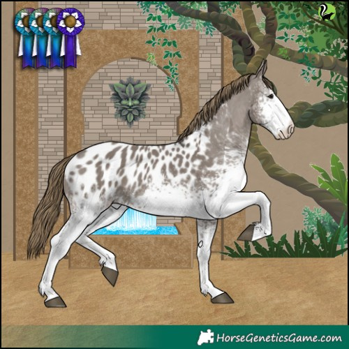 Horse Color:White Spotted Smoky Grullo Blanket 