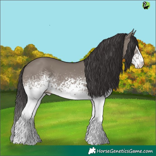 Horse Color:White Spotted Smoky Grullo 