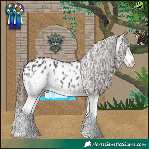Horse Color:White Spotted Grullo Appaloosa 
