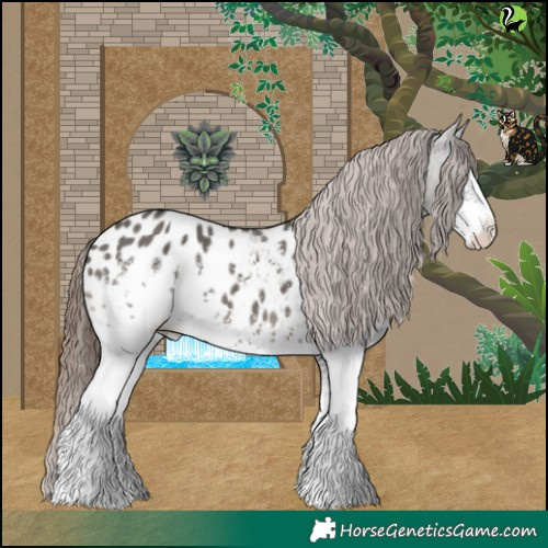 Horse Color:White Spotted Grullo Appaloosa 