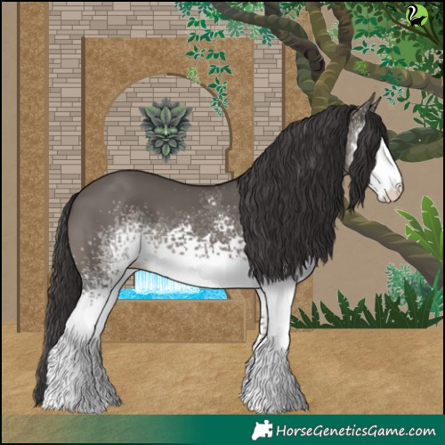 Horse Color:White Spotted Smoky Grullo
