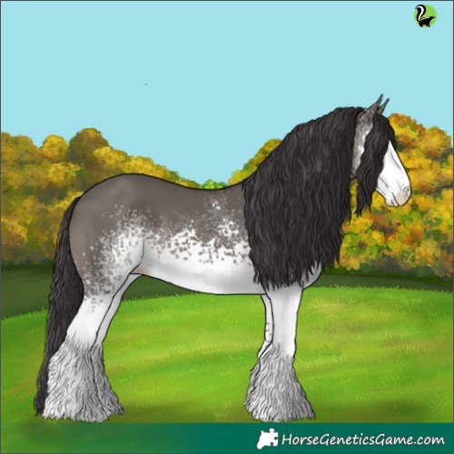 Horse Color:White Spotted Smoky Grullo 