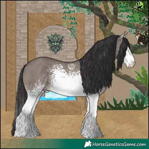 Horse Color:White Spotted Smoky Grullo 