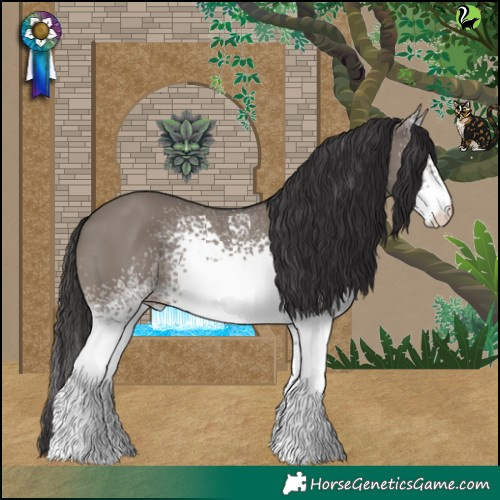 Horse Color:White Spotted Smoky Grullo 
