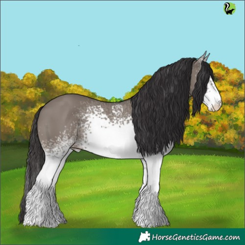 Horse Color:White Spotted Smoky Grullo 