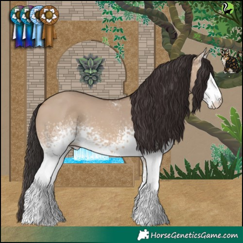 Horse Color:White Spotted Brown Dun 