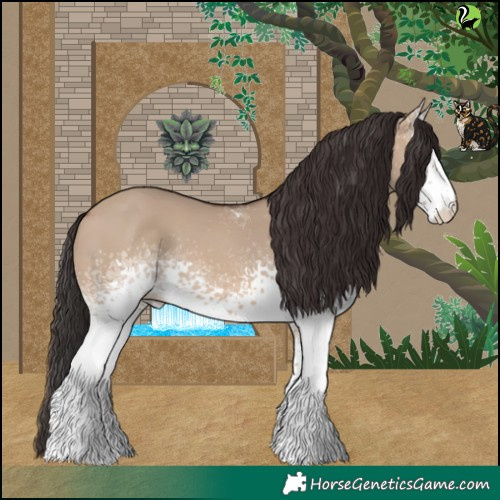 Horse Color:White Spotted Brown Dun 