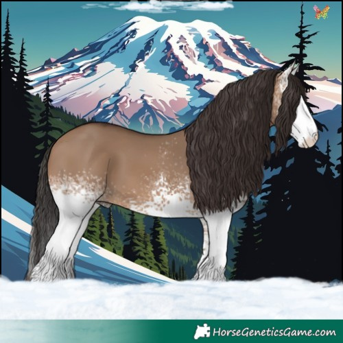 Horse Color:White Spotted Brown Dun 