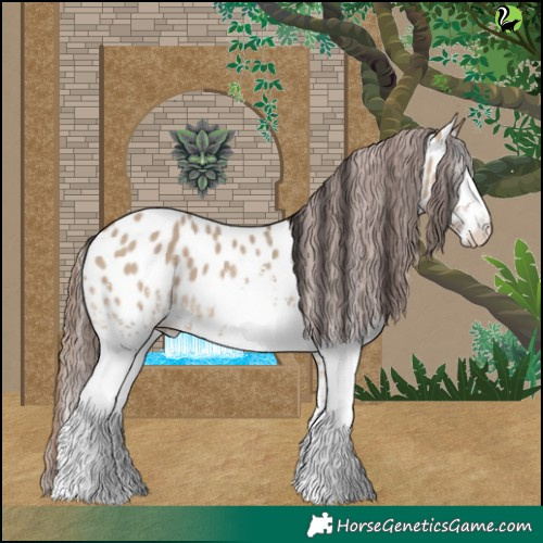 Horse Color:White Spotted Brown Dun Near Leopard 