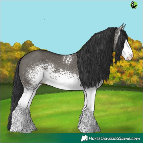 Horse Color:White Spotted Grullo