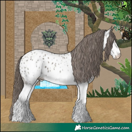 Horse Color:White Spotted Grullo Near Leopard 