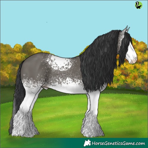 Horse Color:White Spotted Grullo 