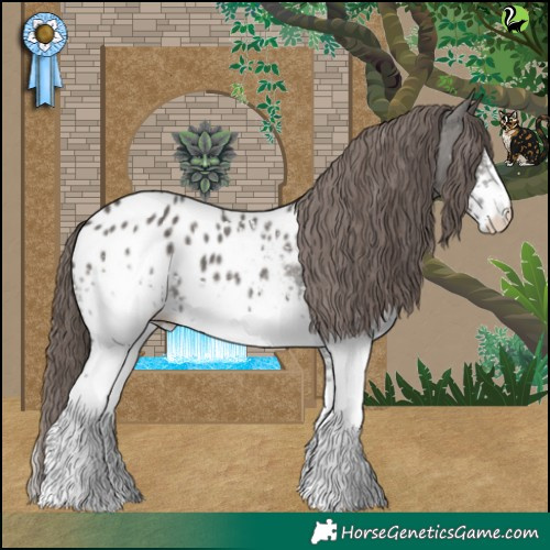 Horse Color:White Spotted Grullo Appaloosa 