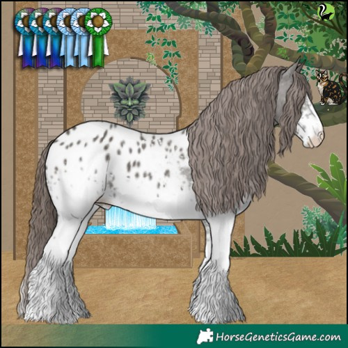 Horse Color:White Spotted Grullo Blanket 