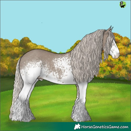 Horse Color:White Spotted Silver Grullo 