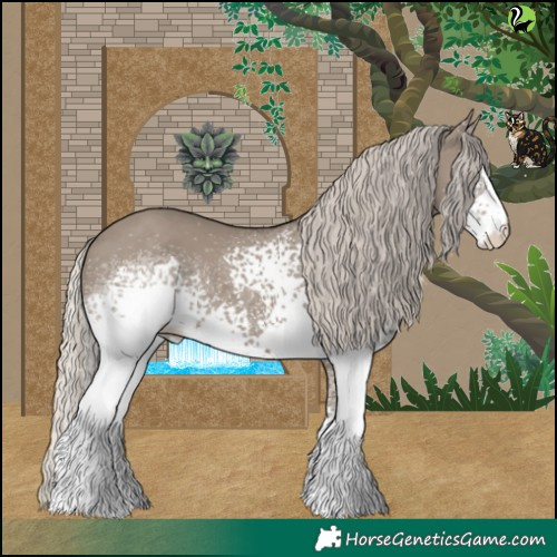 Horse Color:White Spotted Silver Grullo 