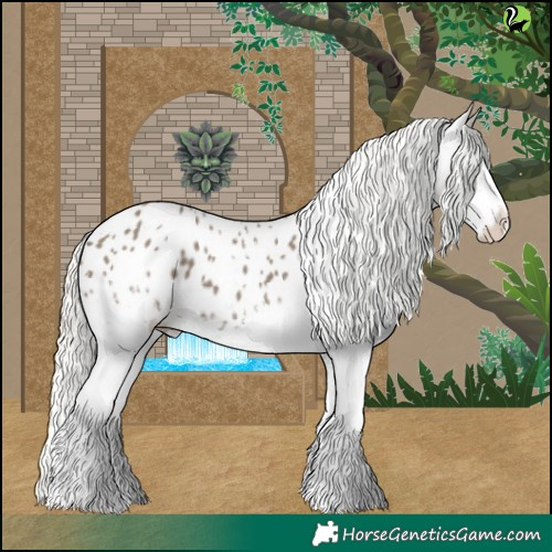 Horse Color:White Spotted Silver Grullo Blanket 