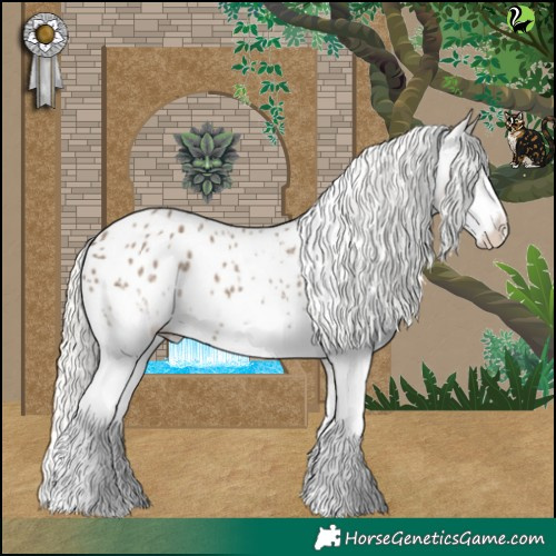 Horse Color:White Spotted Silver Grullo Appaloosa 