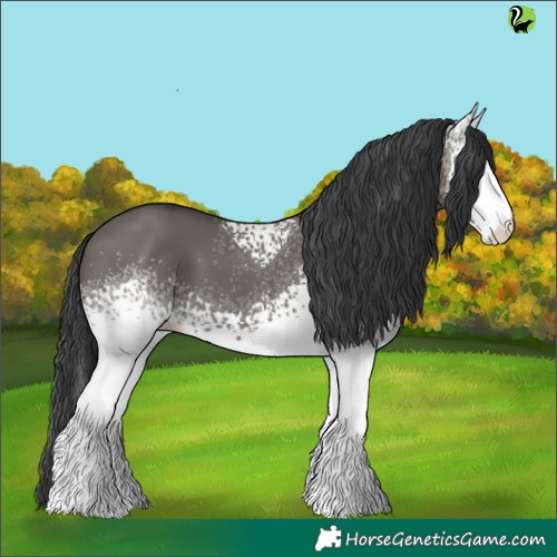 Horse Color:White Spotted Grullo 
